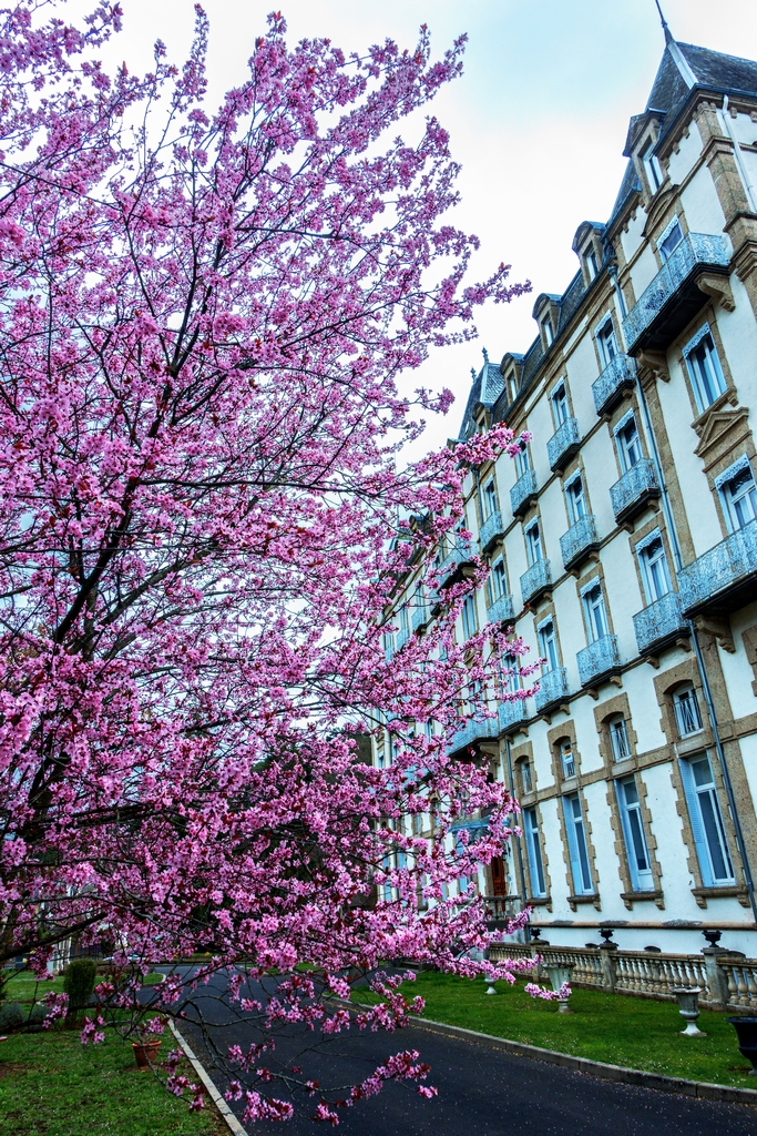 Residence du Parc